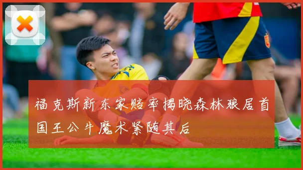 福克斯新东家赔率揭晓森林狼居首国王公牛魔术紧随其后
